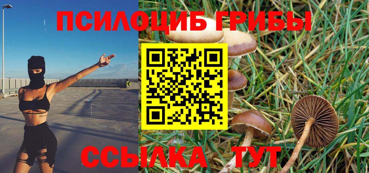 Галлюциногенные грибы Psilocybine cubensis Новочебоксарск