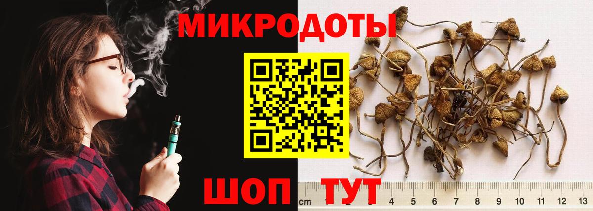 Псилоцибиновые грибы прущие грибы  Псилоцибиновые грибы мицелий  Вход с VPN  Новочебоксарск 